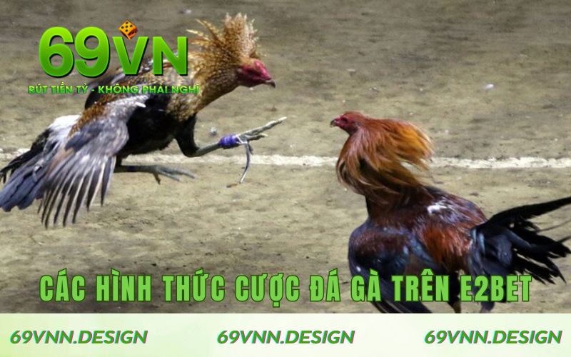 Các hình thức cá cược đá gà trên E2BET