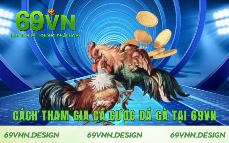 Cách thức tham gia cá cược đá gà tại 69VN