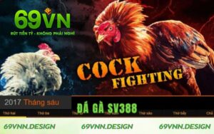 Đá Gà SV388