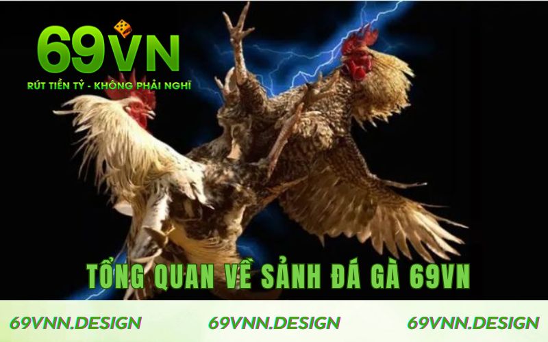 Thông tin tổng quan về sảnh đá gà 69VN