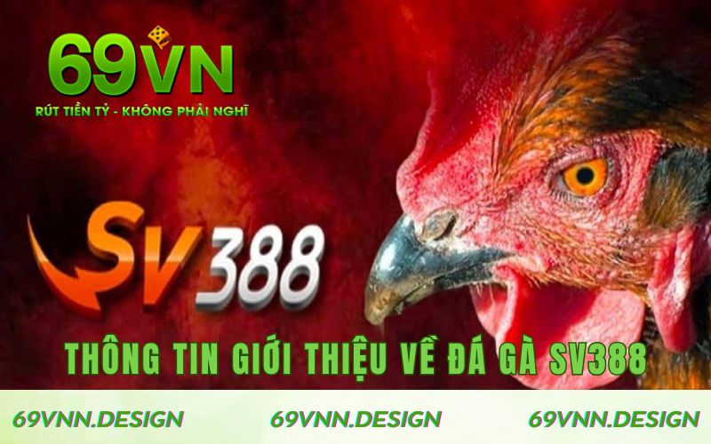 Thông tin giới thiệu về đá gà SV388